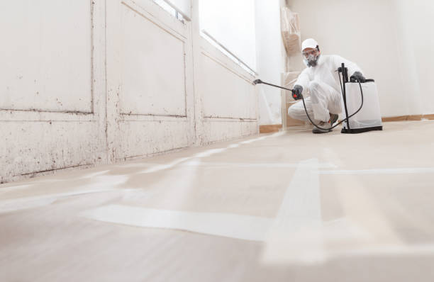 24/7 Emergency Mold Cleanup experts in Marion, VA